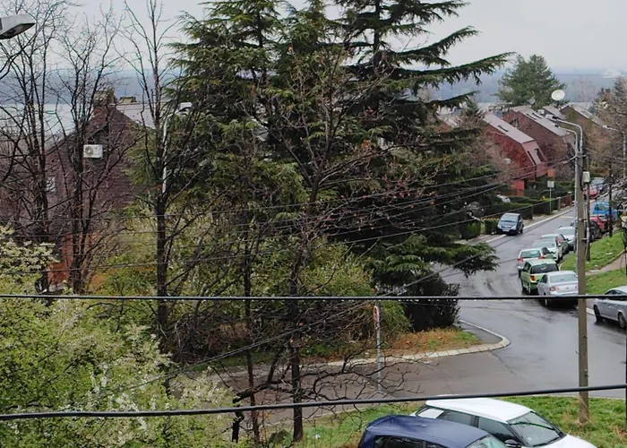 Visnjica Apartment Rospi Cuprija